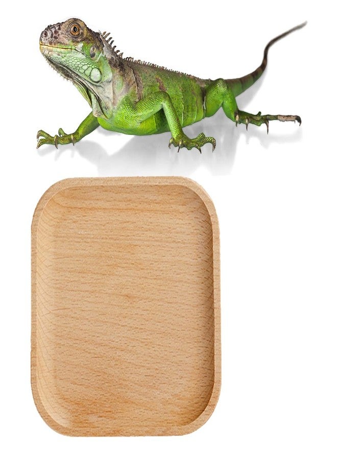 MAGNEECH 1 Pcs Leopard Gecko Potty Pad,Crested Gecko Potty Latrine，Leopard Gecko Tray，Reptile Litter Box，Portable Gecko Tank Accessories(Beech) - Image 1